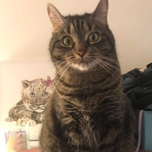 Meet your Posher, Kawtar